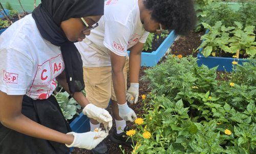 Greenthumb Gardening PBL July 29 2026